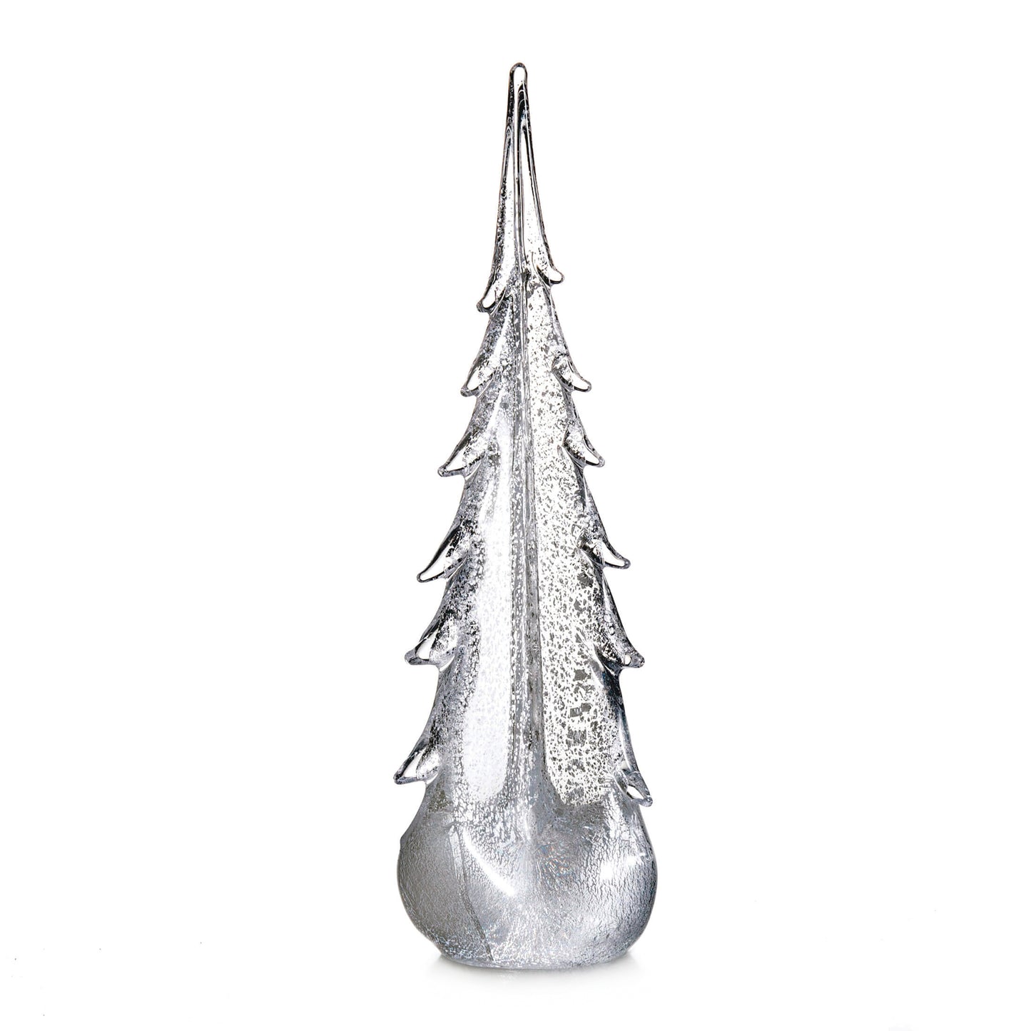 Silver Leaf Evergreen