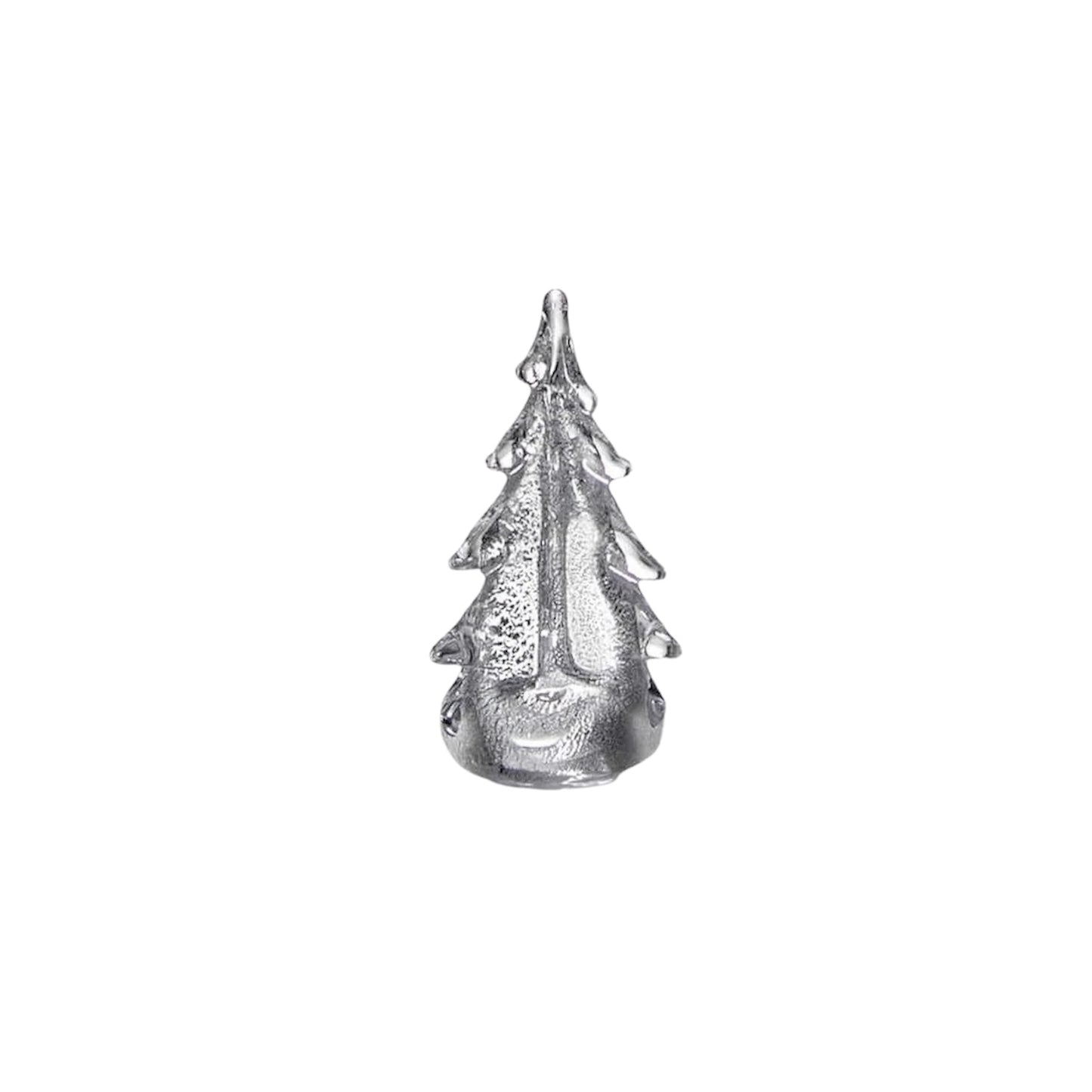 Silver Leaf Evergreen
