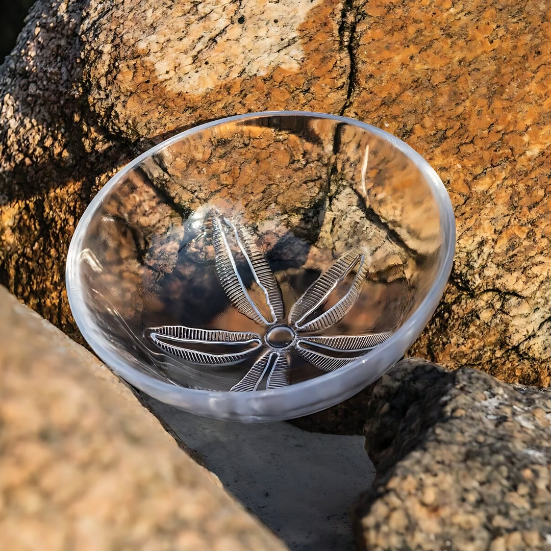 Sand Dollar Bowl - Medium