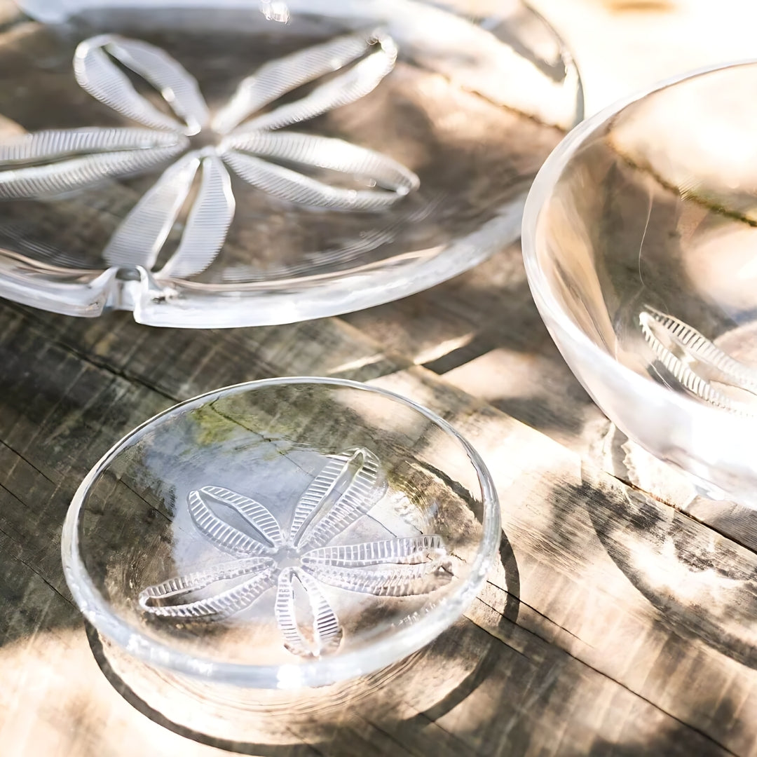 Sand Dollar Bowl - Medium