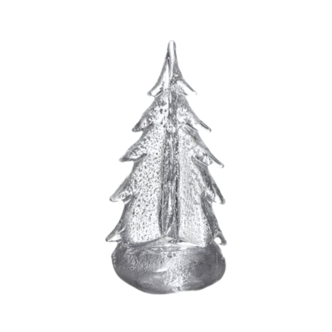 Silver Leaf Evergreen