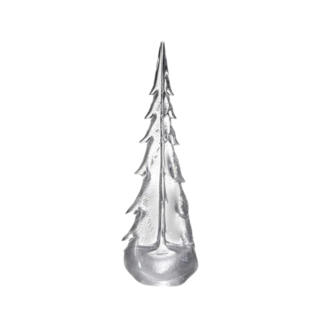 Silver Leaf Evergreen