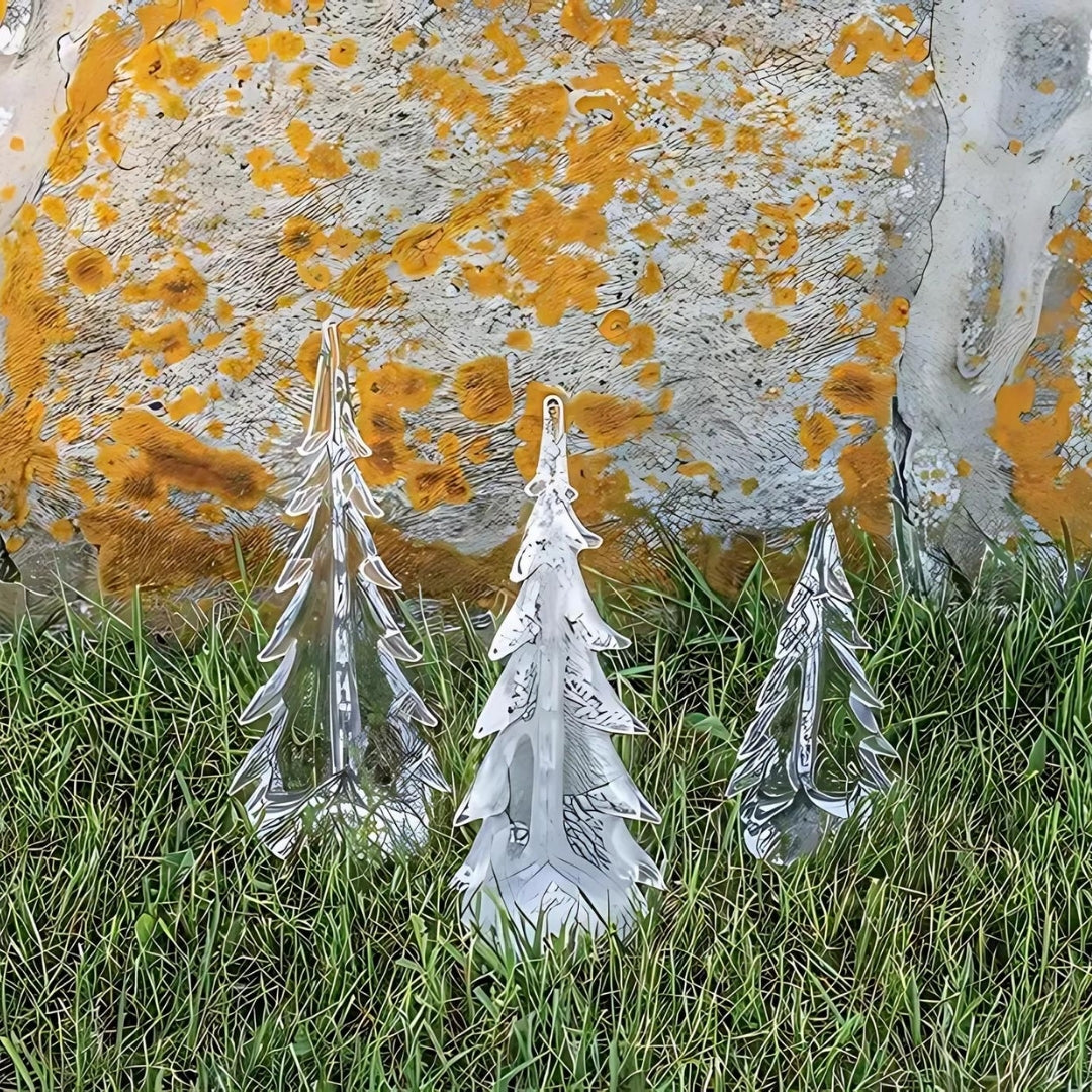 Silver Leaf Evergreen