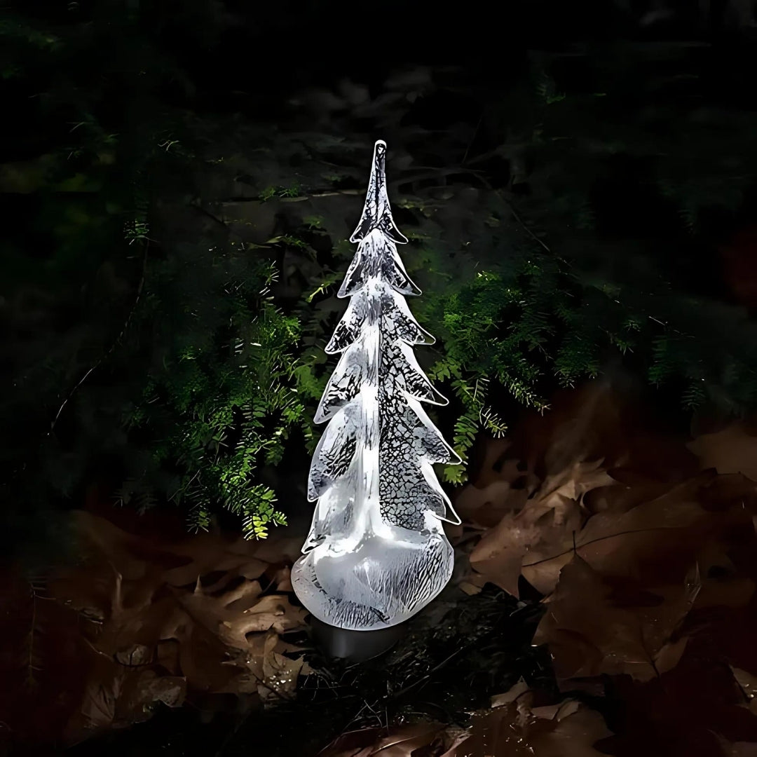 Silver Leaf Evergreen