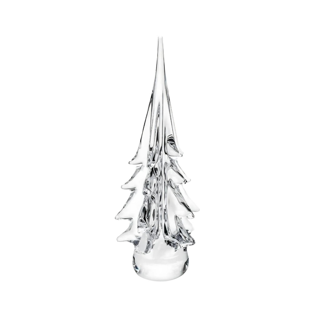 Spruce Evergreen