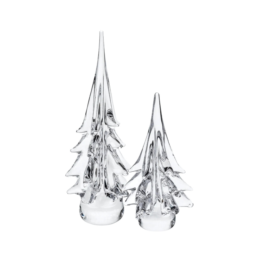 Spruce Evergreen