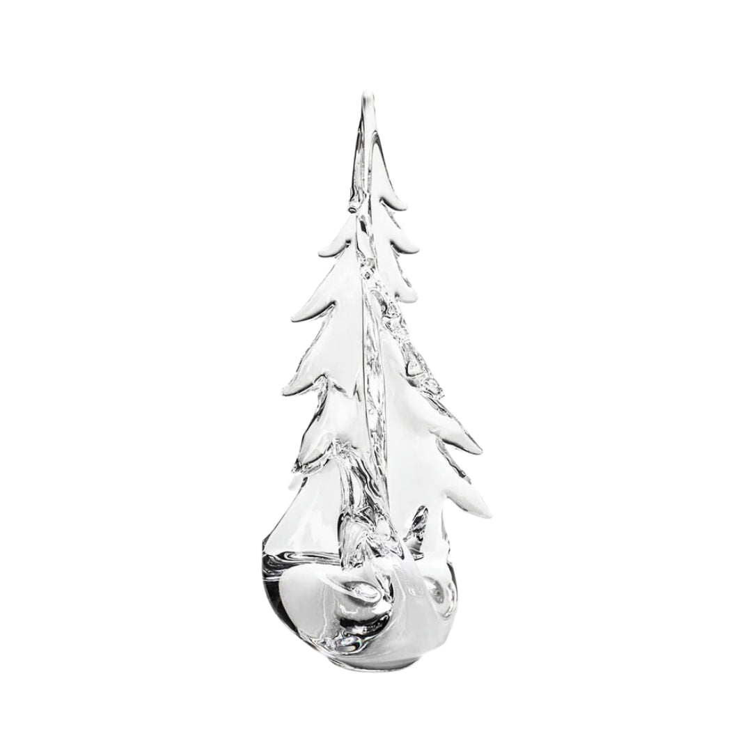 Vermont Twist Evergreen
